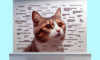 Cat Meme Guide: How to Win Feline Internet Fame