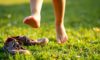 Barefoot Footwear: The Orthopaedic Benefits for Children