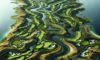 Bellville Golf Club: Your Ultimate Golfing Destination