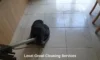 Grout Cleaners Near Longcross: Top Local Picks for You