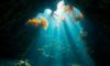 Belize Diving: Unveil Underwater Treasures Beyond the Blue Hole