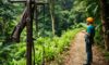 Canopy Tours: Thrilling Zip Lining in Belize’s Rainforest
