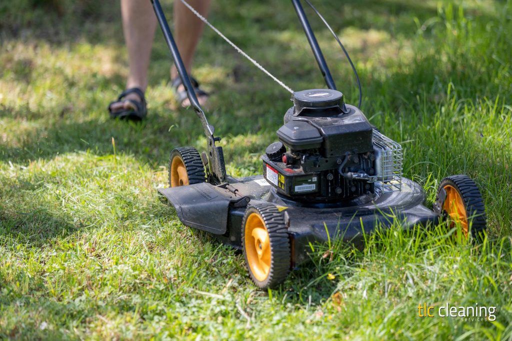 Grass Cutting Services in Montacute: Expert Tips & Options