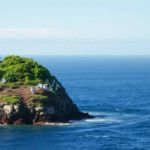 Belize Bird Island: Essential Tips for Your Travel Guide