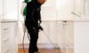 DIY Pest Control: Why Professional Solutions Outperform Sprays