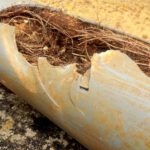 Pipe Relining: Effectively Managing Tree Roots in Drains