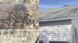 Understand the Essential Role of Soft Washing in Comprehensive Home Maintenance